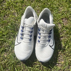 Nike Air Zoom Pegasus 38 FlyEase Summit White Dark Purple Dust Women Size 8.5 - Picture 1 of 10