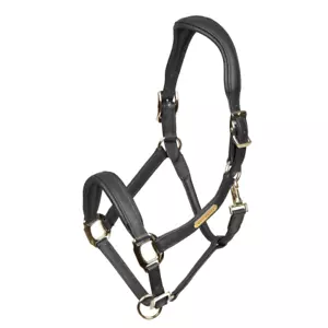 Collar de cuero Shires Velociti Rapida Comfort - Imagen 1 de 6