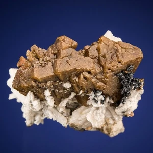 Colección Melanson TN Zircon Mont Saint-Hilaire, Quebec, Canadá 1212-5327 - Imagen 1 de 4