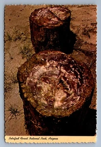 Postcard Vintage Postmarked 1975 Petrified Forest National Park Arizona 4 x 6 - Picture 1 of 2