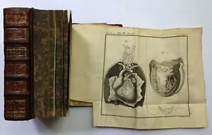 Anatomie Historique et pratique PAR M. LIEUTAUD 1776-1777 (2 VOL) ILLUSTRE E.O. - Foto 1 di 12