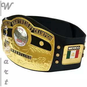 NWA World Heavyweight Championship Title - Brass Belt Earned by Iconic Legends - Picture 1 of 3