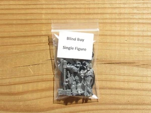 W:AOS Slaves to Darkness _Chaos Chosen w/ Two Handed Weapon BlindBuySingleFigure - Picture 1 of 1