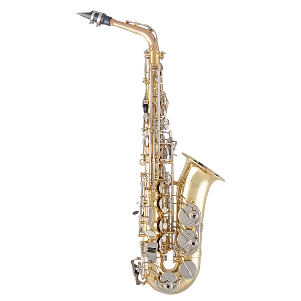 Selmer SAS301 Student Alto Saxophone