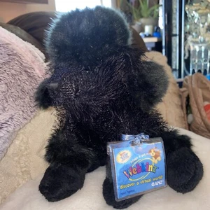WEBKINZ ~ BLACK POODLE ~ BY GANZ SECRET WITH CODE PLUSH POODLE HM191 - Picture 1 of 8