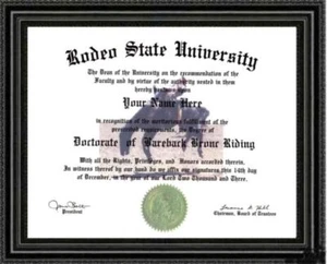 Bareback Bronc Lover's Doctorado / Diploma Hecho a Medida y Diseñado para Ti - Imagen 1 de 1