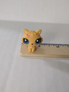 Littlest Pet Shop LPS Authentic Yellow Pink Bow Baby Kitten #3612 VHTF - Picture 1 of 5