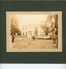 Calvington, Shropshire rare original photo of Grand House & sheep/cattle c1890's