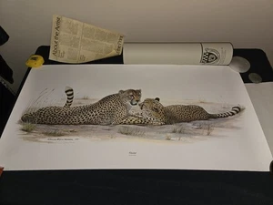 1972 Richard Evans Younger Signed Original Silk Print Cheetah 20x40 Mint Inserts - Bild 1 von 24