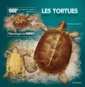 Turtles MNH Stamps 2023 Djibouti S/S - Picture 1 of 1