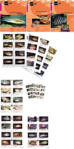 AQUALOG, South american Cichlids Vol. 1,2,3,Supplements - Imagen 1 de 5
