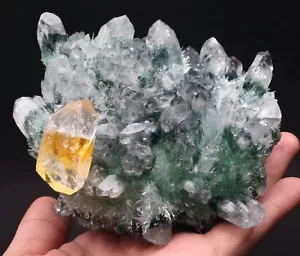 890g Neuentdeckung Grüner Geist Gelber Kristall Cluster von Mineralproben - Bild 1 von 12