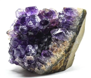 245g Dark Purple Amethyst Druzy Cluster Natural Quartz Geode Mineral - Uruguay - Bild 1 von 4