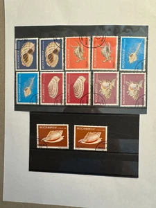Topical Shells Mozambique group of 12 stamps loose Scott Cat 716/721 1980 - Picture 1 of 2