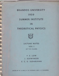 BRANDEIS UNIVERSITY SUMMER INSTITUTE IN THEORETICAL PHYSICS. Lecture Notes. V 1 - Picture 1 of 3
