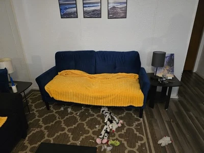 Love Seat azul 69 pulgadas de largo menos de cuatro meses de antigüedad debe irse pronto. Foto 1 de 2