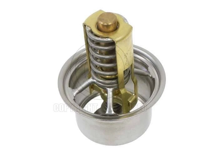 Termostato original Porsche (2009-2013) (80 grados C) 9A110622503 Foto 1 de 1