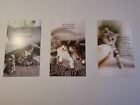 Postkarten Set Schmusekatzen