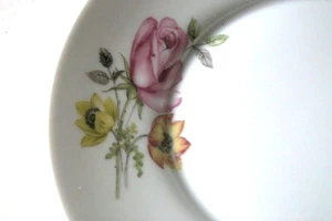 * 2 ASSIETTES CREUSES EN PORCELAINE DE LIMOGES - Imagen 1 de 1
