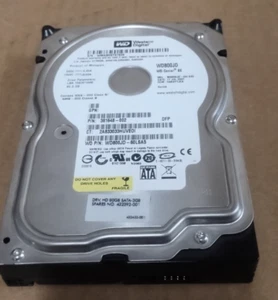 Disco duro interno Western Digital WD800JD-60LSA5 3,5" 80 GB HDD 7200 RPM 432392 - Imagen 1 de 6