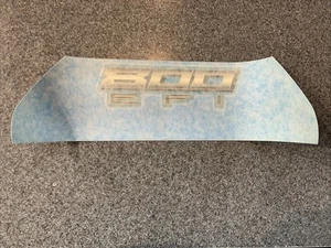1 NEW OEM 2009 POLARIS RZR 800 EFI Decal 7174980 - Picture 1 of 2