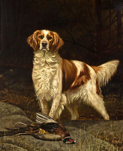 Canvas Print Oil painting Irish red and white setter Dog printed on canvas L1167