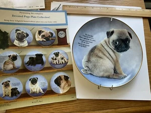 DANBURY MINT COLLECTORS PLATE ~ “Devouted Pug” - Picture 1 of 3