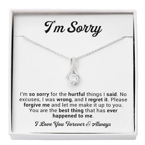 I'm Sorry Gift For Wife Necklace, Sorry Gift for Girlfriend, Forgiveness Gift - Picture 1 of 9