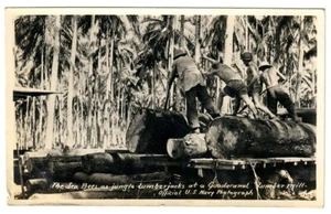 Postal con foto real de la Segunda Guerra Mundial Marina de los Estados Unidos Seabees Jungle Lumberjacks Guadacanal RPPC - Imagen 1 de 2