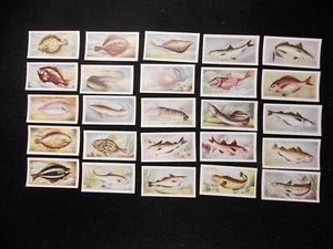 Carte commerciali White Fish Authority Fish We Eat 1954 set completo 25 - Foto 1 di 2