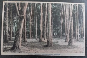 Undated Japan Postcard-Rubber Plantation Unused No Stamp - Picture 1 of 2