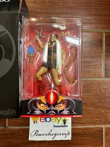 🔥NUOVO🔥 Modellino Mattel Classics Club Terza Terra Thundercats Pumyra - Foto 1 di 8