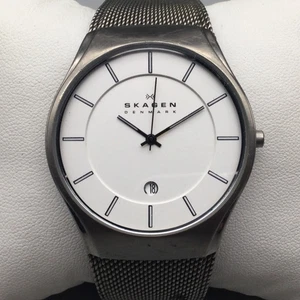 Skagen Watch Mens 40mm Titanium Mesh Band Date 956XLTTW Denmark New Battery - Picture 1 of 16