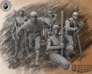 Lautlose Ninja Miniaturas Set Shinobi para Ttrpgs Como D&d 5e Pathfinder 32mm - Bild 1 von 16