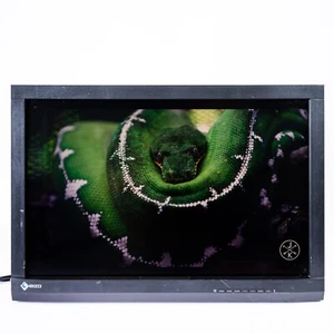 EIZO ColorEdge CG247 24.1" inch 1920x1200 IPS LED Display Monitor Screen 12,636 - Picture 1 of 1