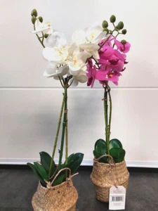 Deludere Künstliche Orchidee, mit Blumenkübel aus geflochtener Weide, ca. 60cm - Bild 1 von 13