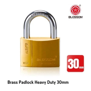 Padlock Brass Heavy Duty 30mm 3 Keys Steel Shackle High Security Level 4 - Picture 1 of 10