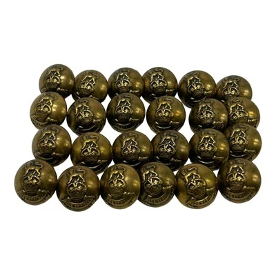 Lot of 24 Royal Army Pay Corps Lion Crest Brasstone Buttons FIDE ET FIDUCIA 14mm - Image 1 of 4