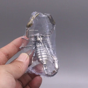 Reines 999 Feinsilber Ornamente in Skorpionform Anhänger Sammlung Spielstück - Bild 1 von 4