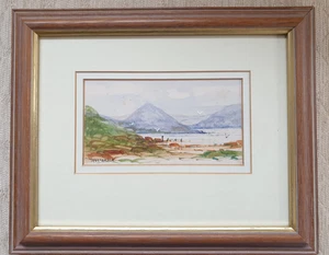 ESCENA JUNTO AL LAGO ACUARELA ORIGINAL ENMARCADA POR TERRY McARDLE 26,5 X 21,5 - Imagen 1 de 7