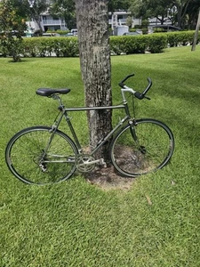 Lotus Legend Compe Road Bike - Picture 1 of 1