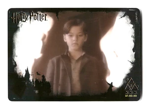 Kayou Wizarding World Harry Potter Trading Card Tom Riddle HP-S02-003 Textured - Picture 1 of 4