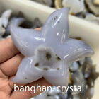 1pc Natural  agate starfish Carved Quartz Crystal Skull reiki Healing Gift