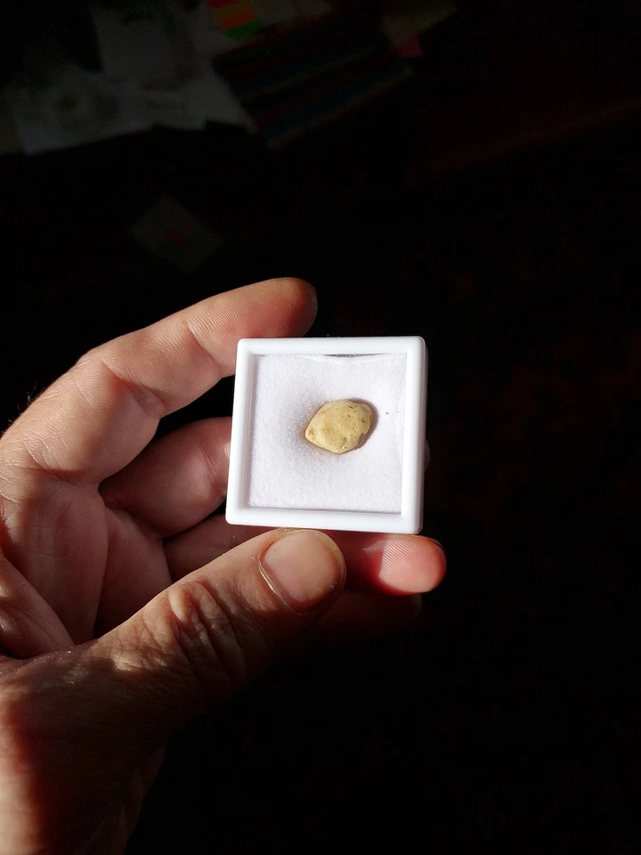 Ancient Natural Clam Pearl - Image 1 of 4