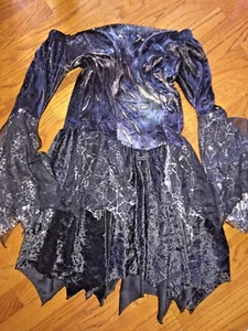 Victorian Black Velvet Spider Web GOTHIC WITCH COSTUME DRESS Women's SZ ONE SIZE - Picture 1 of 8