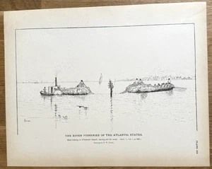 Pesca de sábalo en sonido Albemarle colocando el Sena 1887 impresión de pesca antigua - Imagen 1 de 11