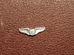 1/6 scale US Air Force Wings - Picture 1 of 1