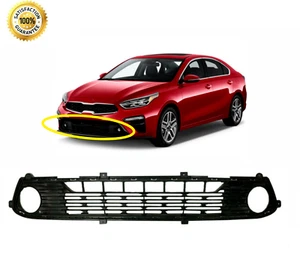 FRONT BUMPER LOWER BOTTOM GRILLE GRILL FOG MOLDING RADIATOR FOR FORTE 2019-20-21 - Picture 1 of 3