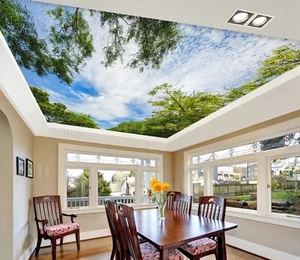 3D Cooles Wetter H2239 Decke Tapete Wandbilder Wandbild Aufkleber Deco Erin 23 - Picture 1 of 5