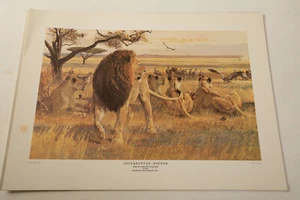Remington Arms Wildlife & Hunting Print Folio (UC3/JSF6) 9 Prints Dogs Cats - Picture 1 of 24